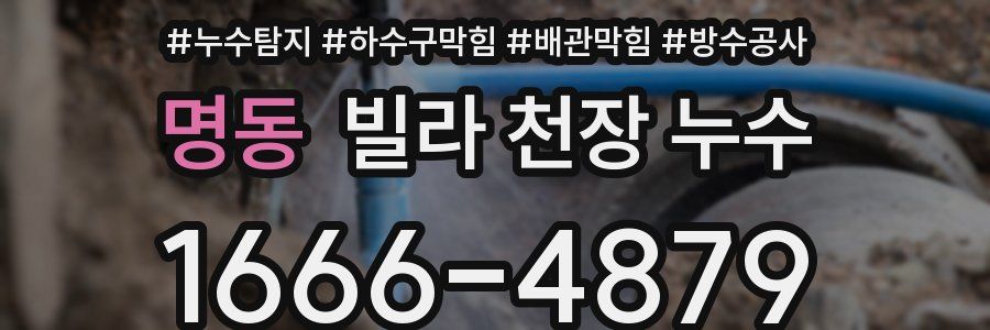 명동 빌라 천장 누수