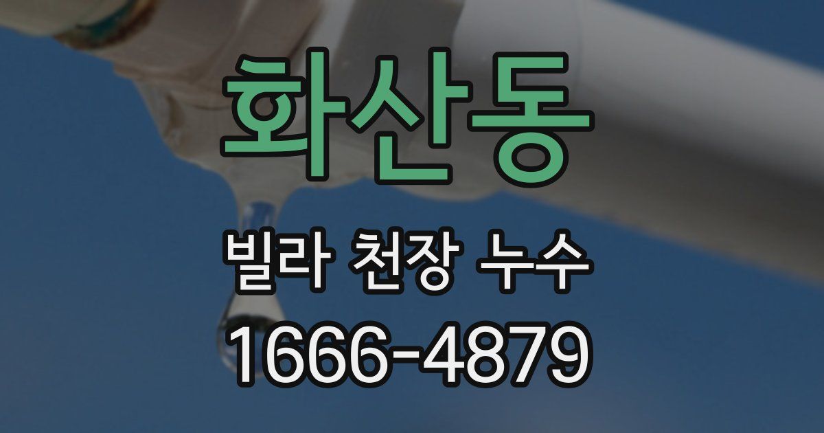화산동 빌라 천장 누수