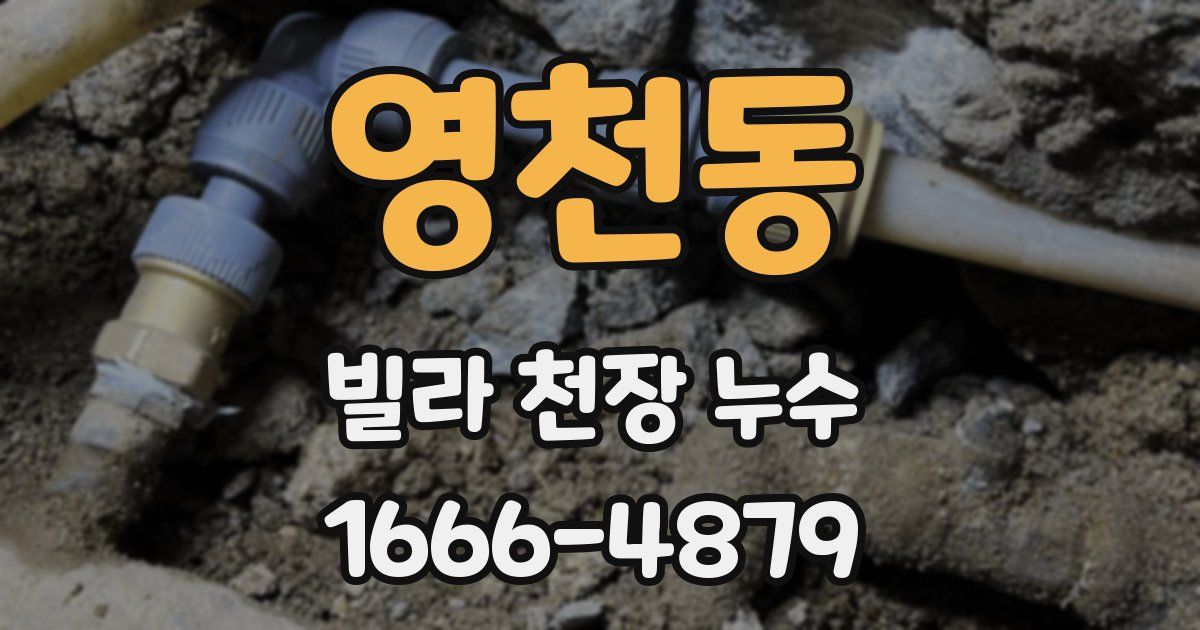 영천동 빌라 천장 누수