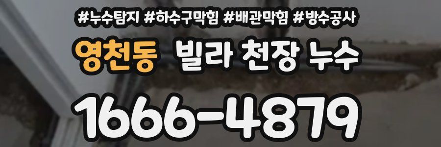 영천동 빌라 천장 누수