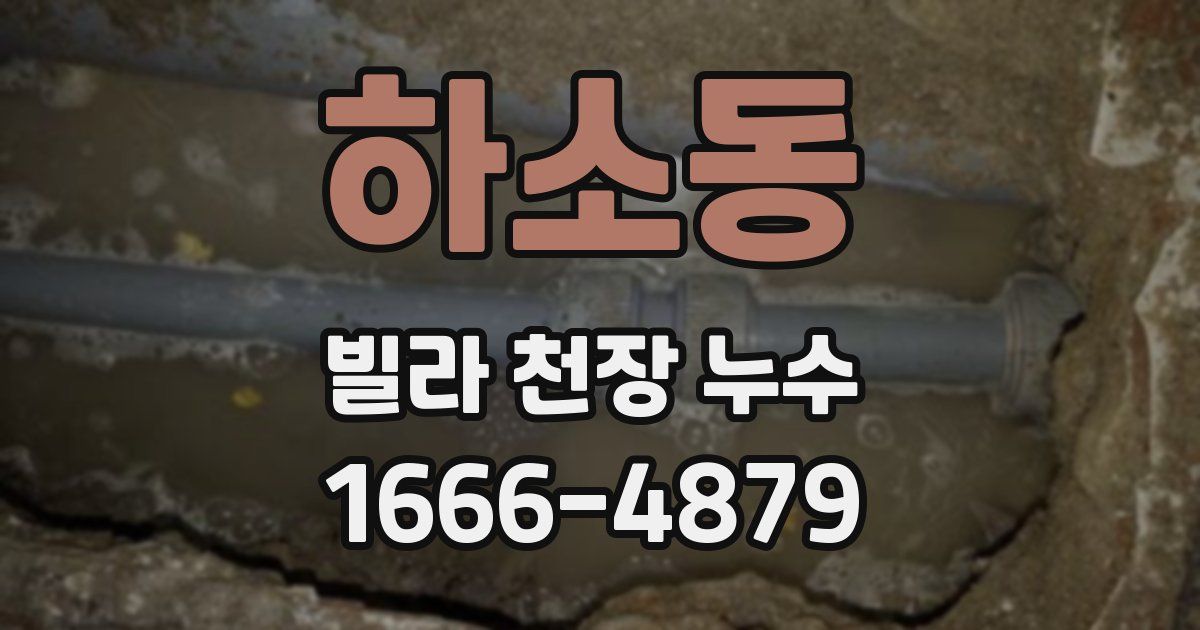 하소동 빌라 천장 누수