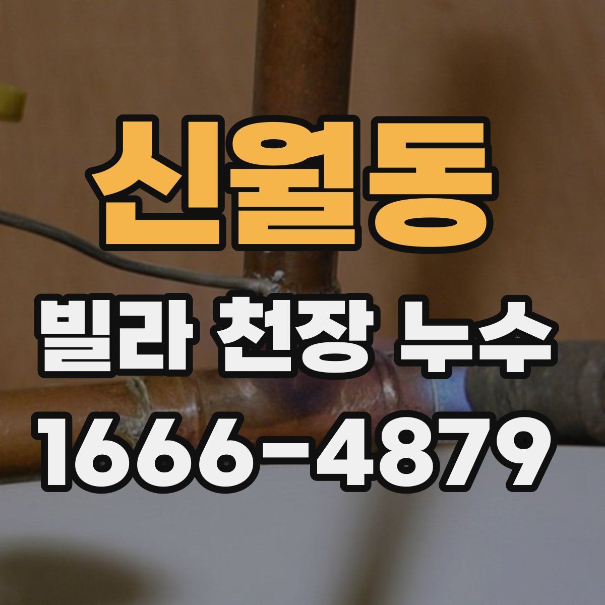 신월동 빌라 천장 누수