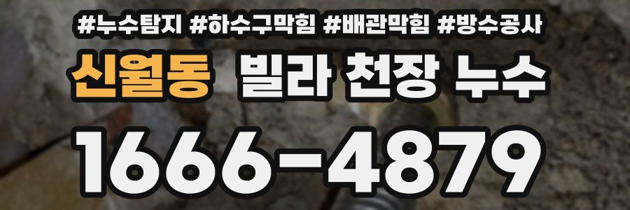 신월동 빌라 천장 누수