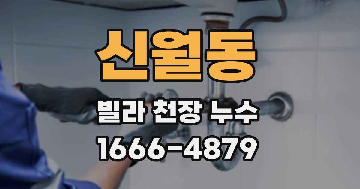 신월동 빌라 천장 누수