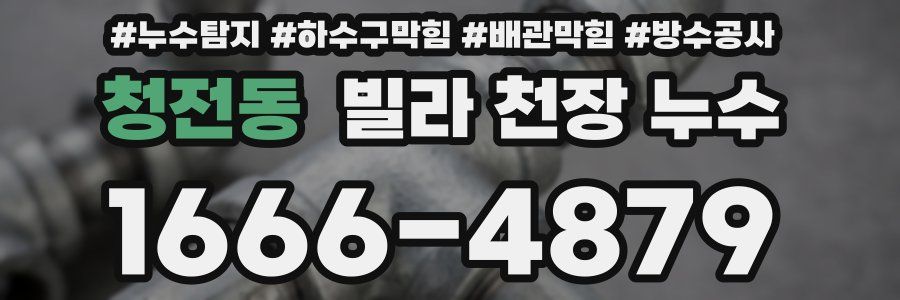 청전동 빌라 천장 누수