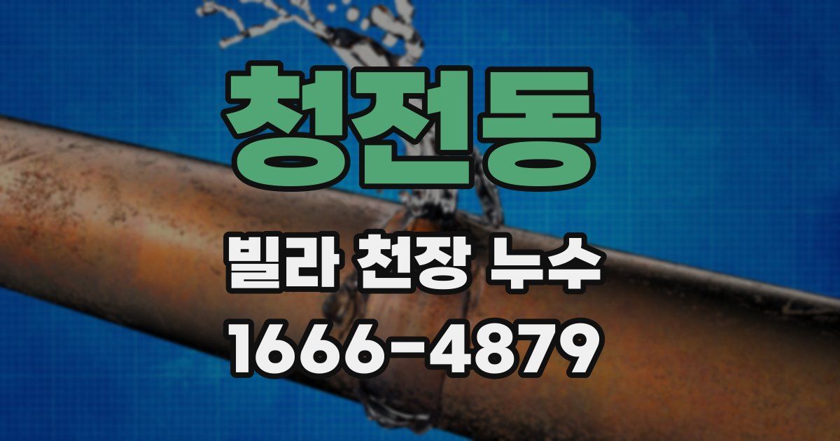 청전동 빌라 천장 누수