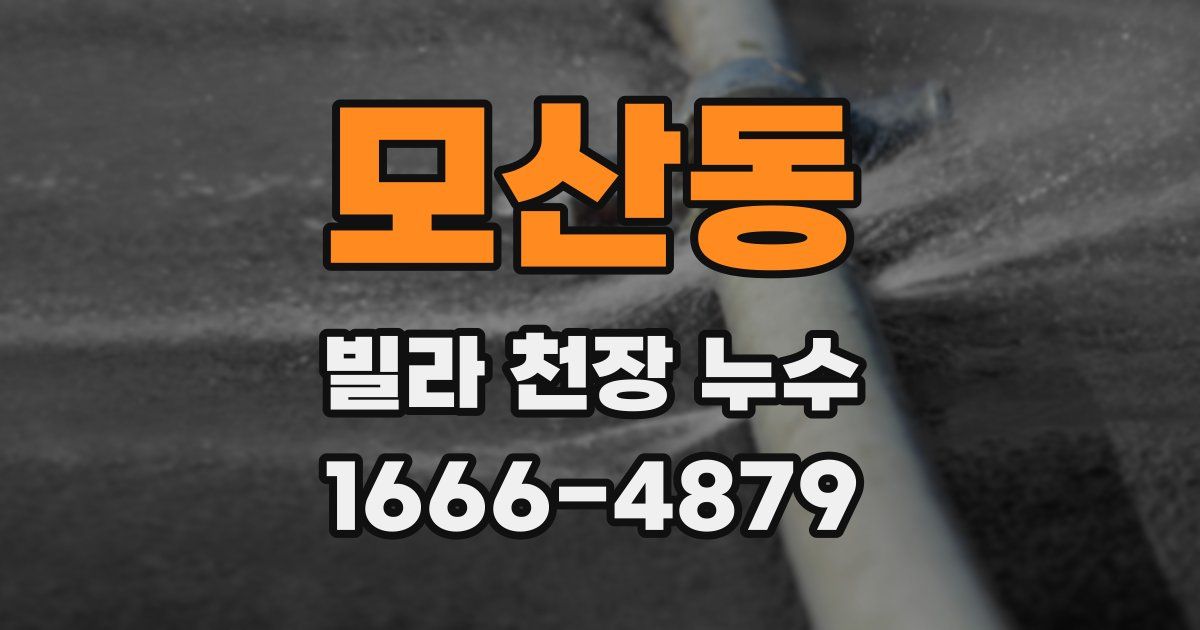 모산동 빌라 천장 누수