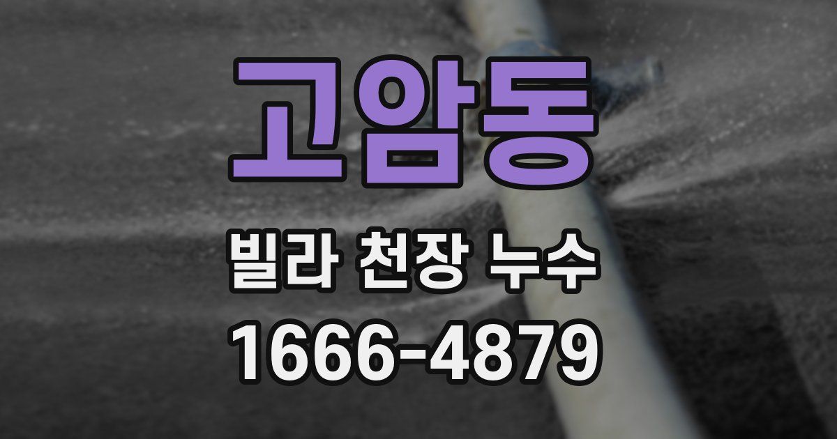 고암동 빌라 천장 누수