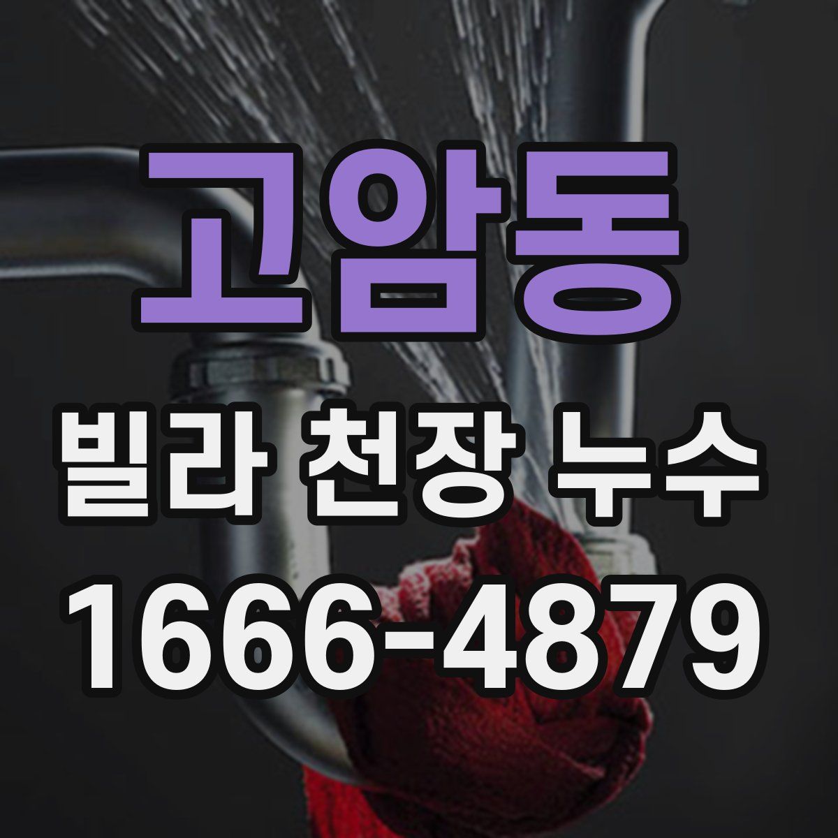 고암동 빌라 천장 누수