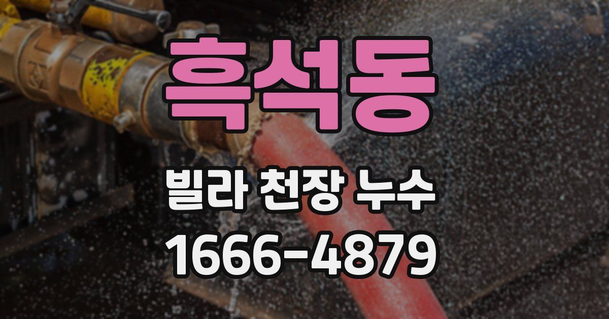 흑석동 빌라 천장 누수