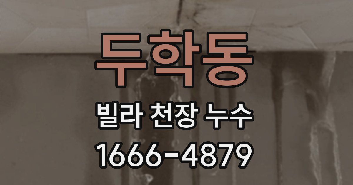 두학동 빌라 천장 누수