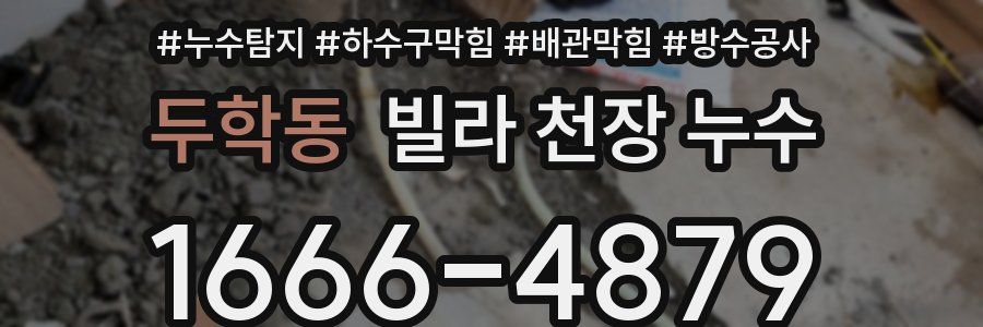 두학동 빌라 천장 누수