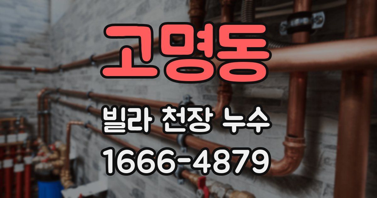 고명동 빌라 천장 누수