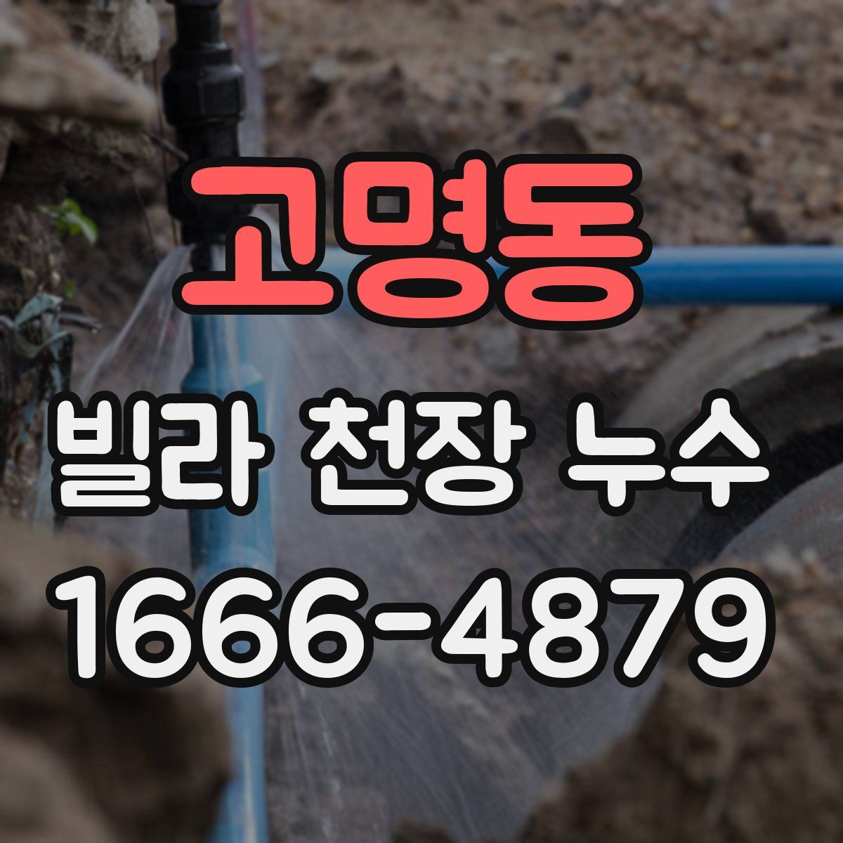 고명동 빌라 천장 누수