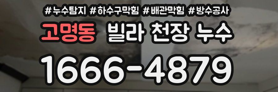 고명동 빌라 천장 누수