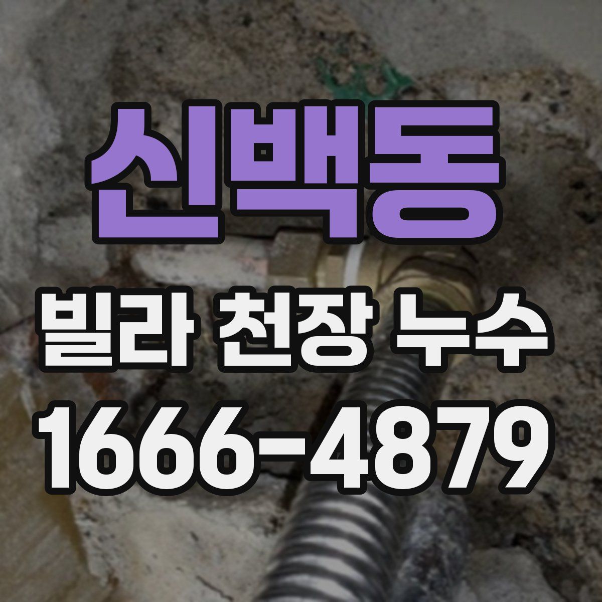신백동 빌라 천장 누수