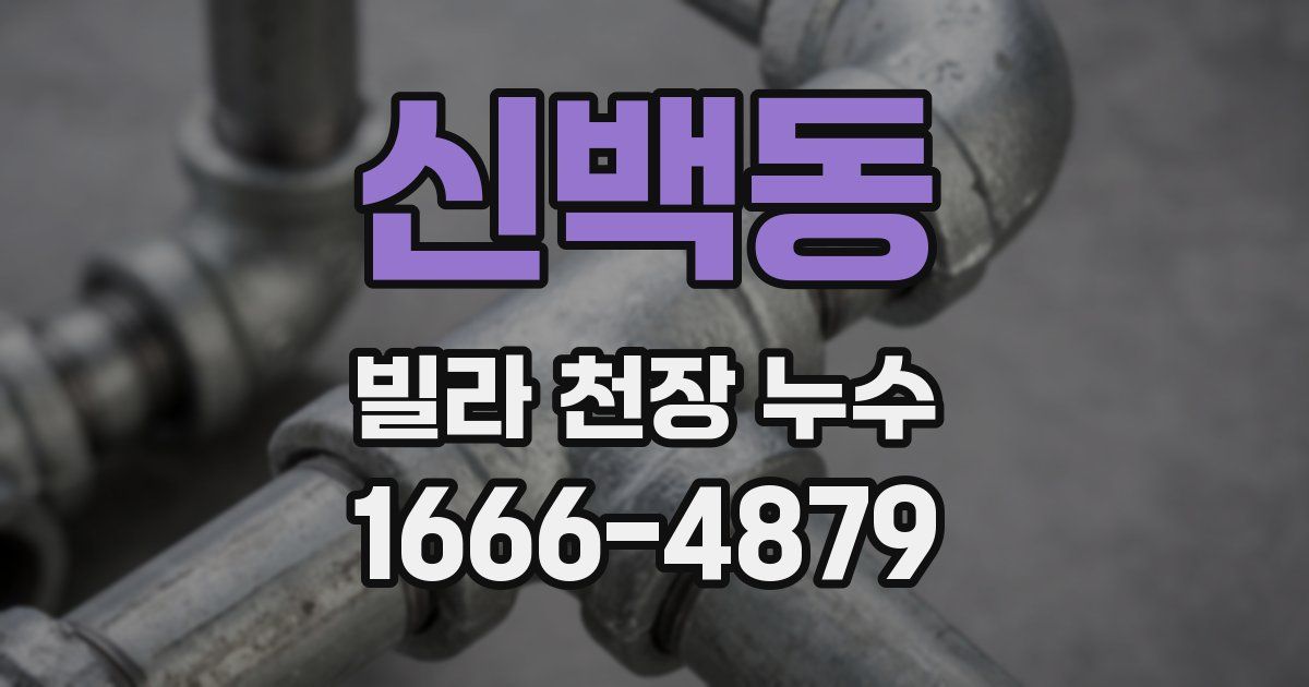 신백동 빌라 천장 누수