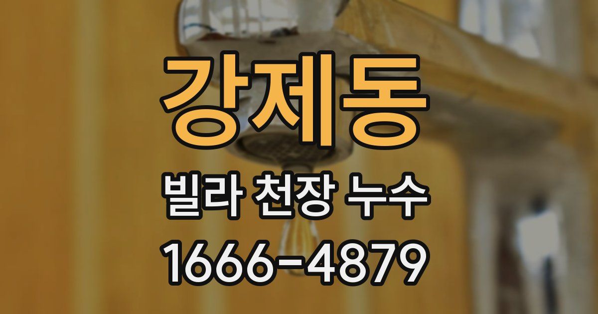 강제동 빌라 천장 누수