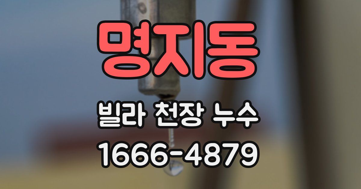명지동 빌라 천장 누수