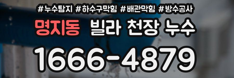 명지동 빌라 천장 누수