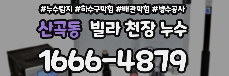 산곡동 빌라 천장 누수