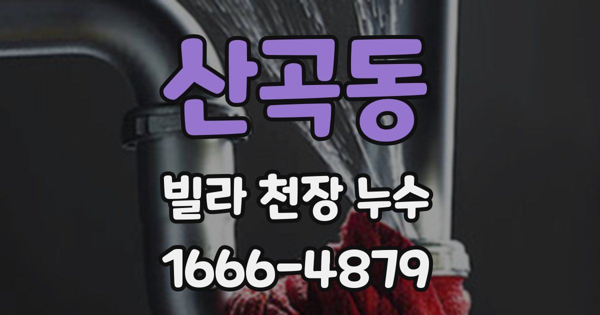 산곡동 빌라 천장 누수