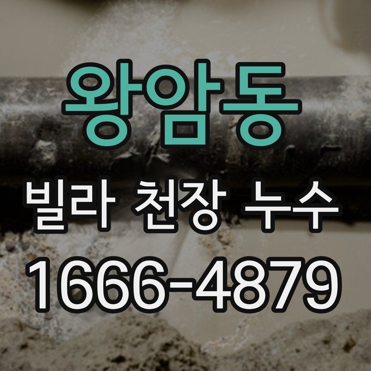 왕암동 빌라 천장 누수