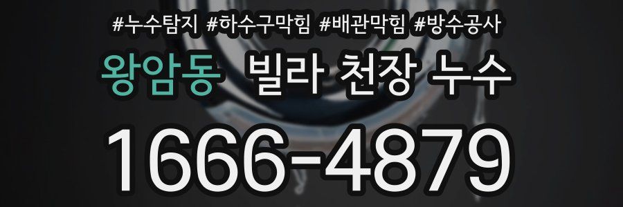 왕암동 빌라 천장 누수