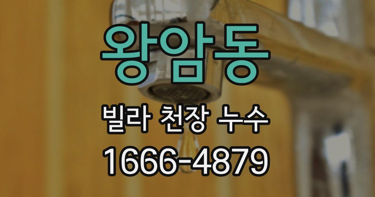 왕암동 빌라 천장 누수