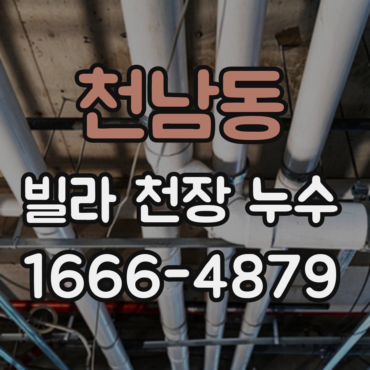 천남동 빌라 천장 누수