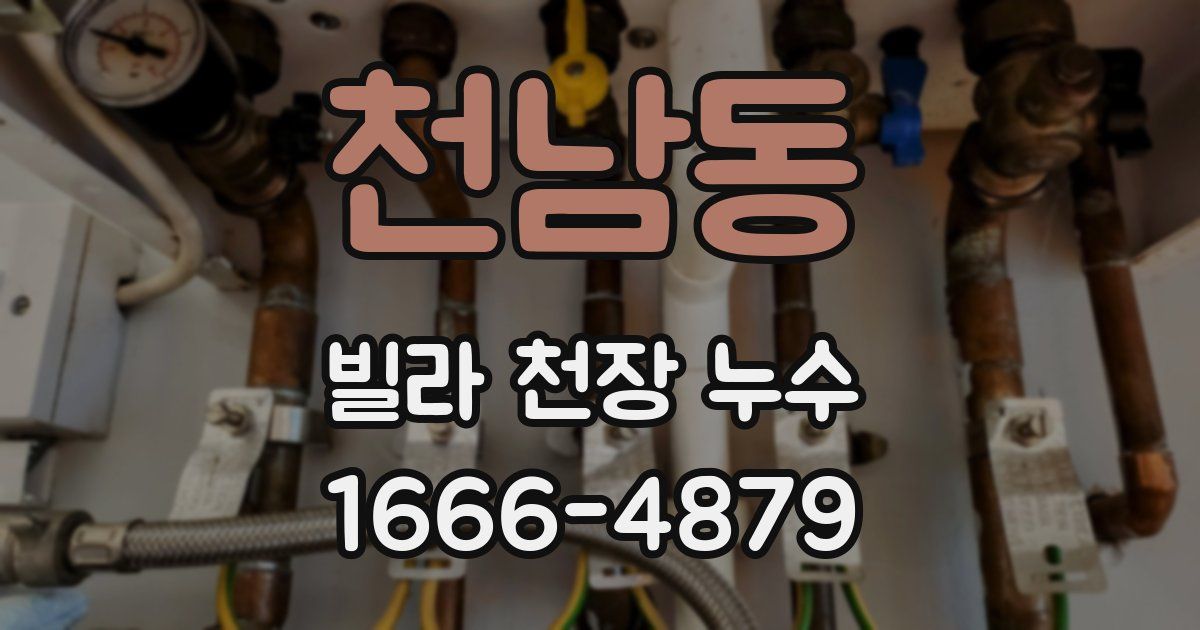 천남동 빌라 천장 누수