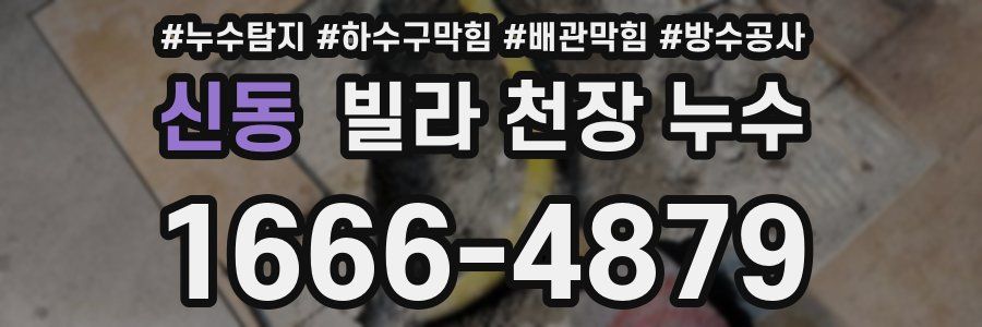 신동 빌라 천장 누수