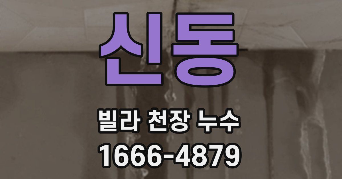 신동 빌라 천장 누수
