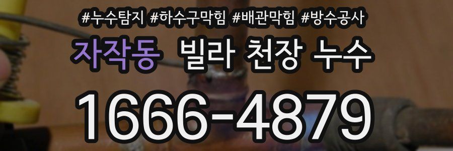 자작동 빌라 천장 누수