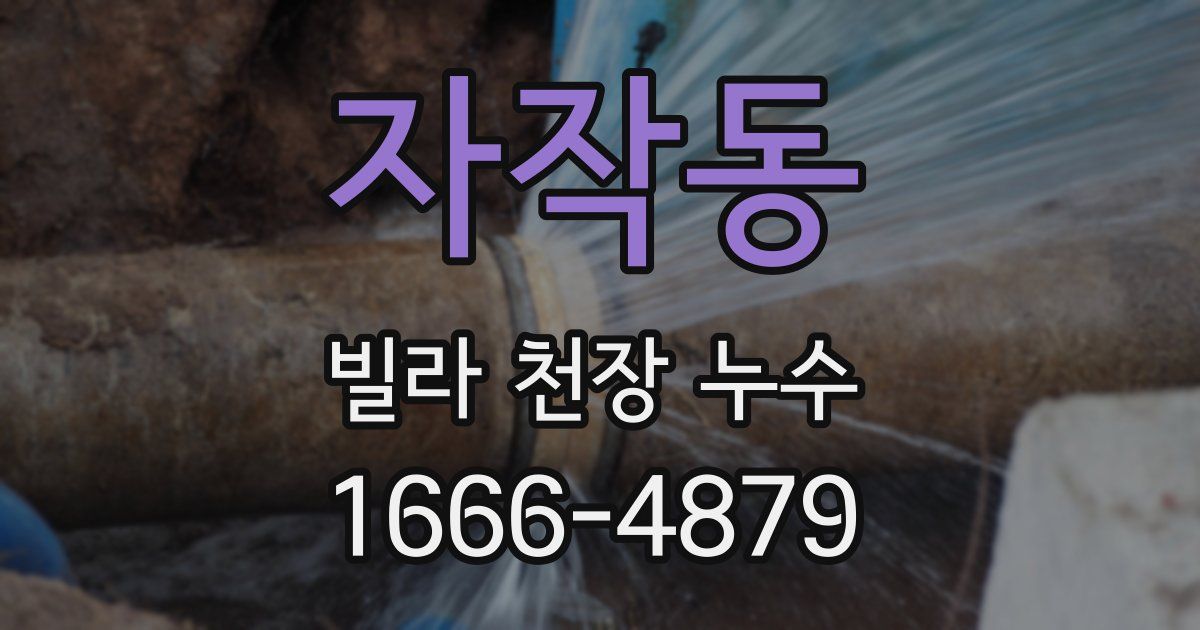 자작동 빌라 천장 누수