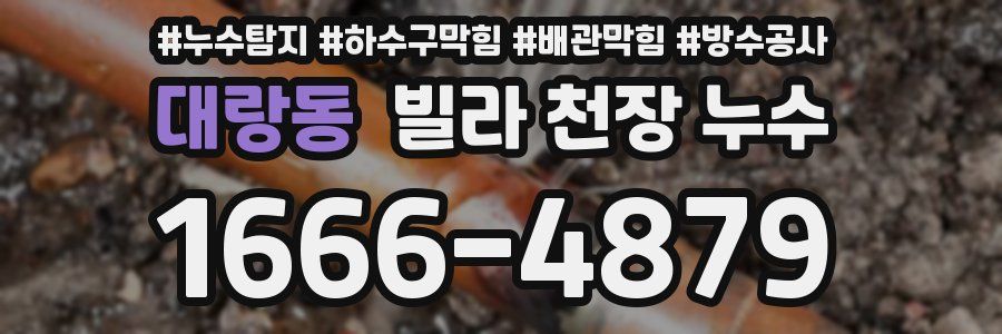 대랑동 빌라 천장 누수