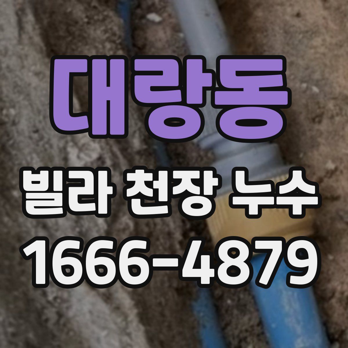 대랑동 빌라 천장 누수