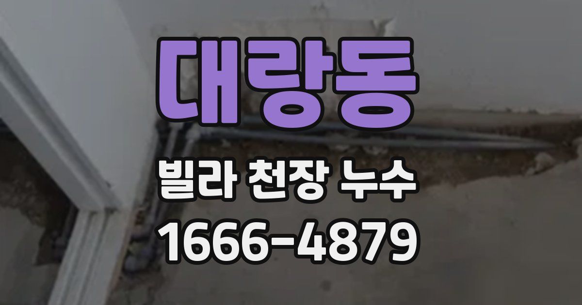 대랑동 빌라 천장 누수