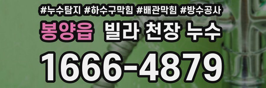 봉양읍 빌라 천장 누수