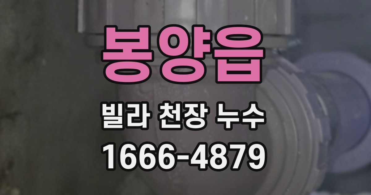 봉양읍 빌라 천장 누수