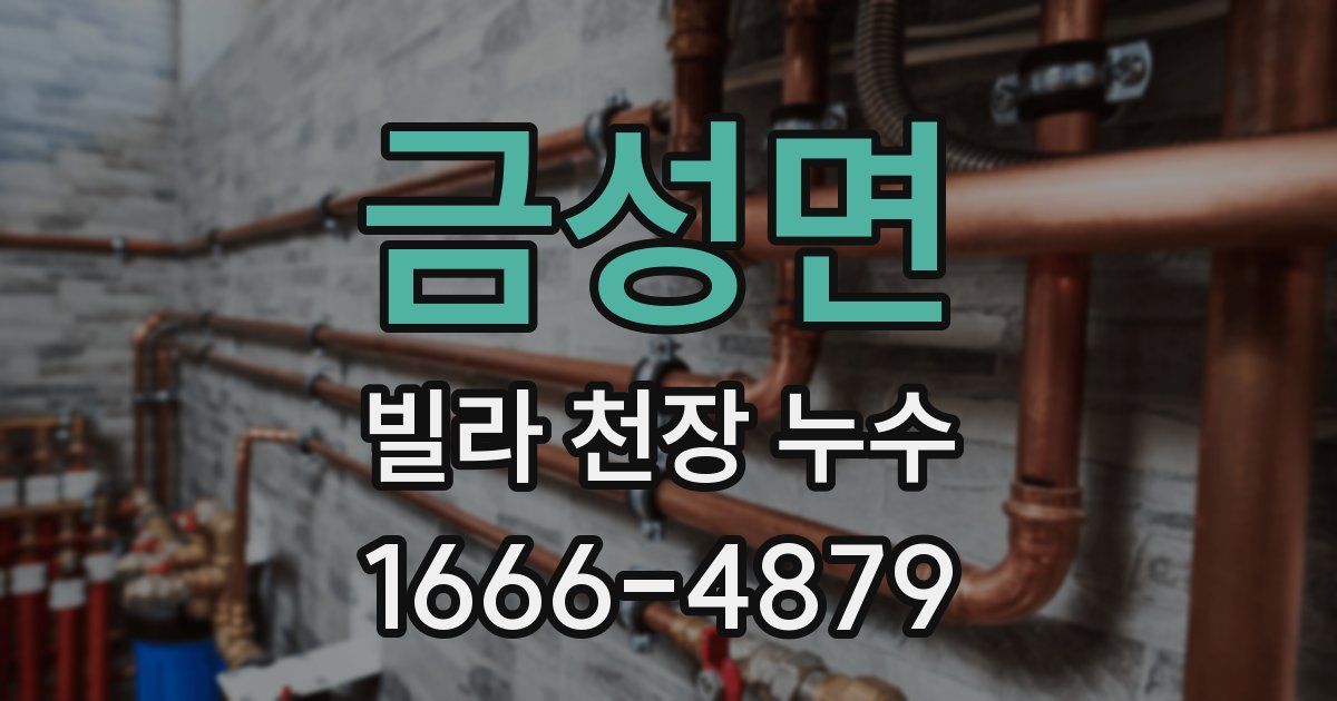 금성면 빌라 천장 누수