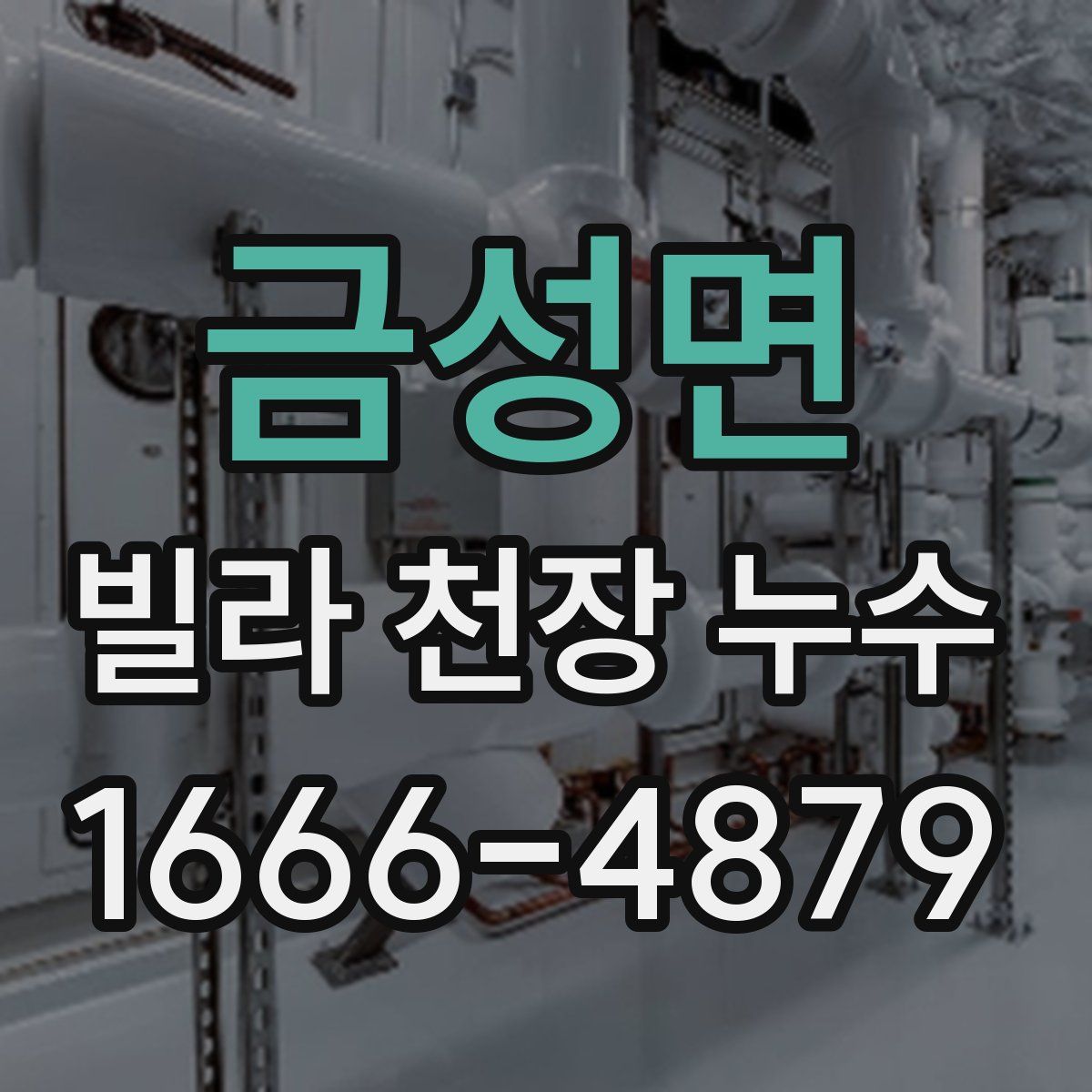 금성면 빌라 천장 누수