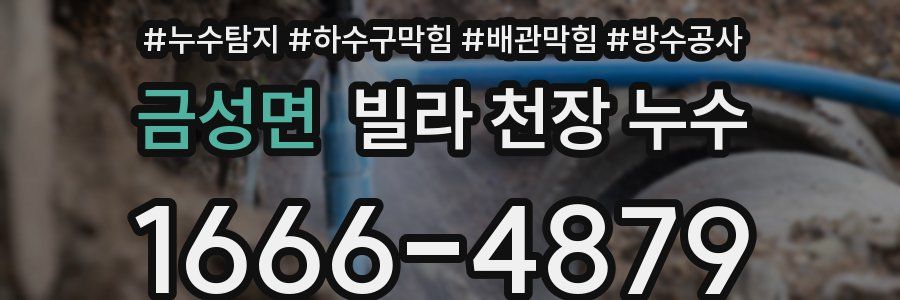 금성면 빌라 천장 누수