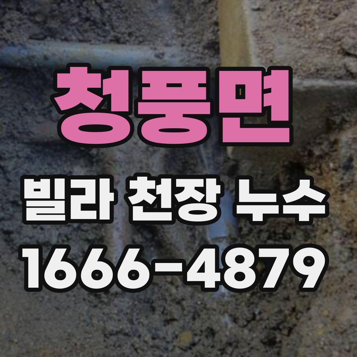 청풍면 빌라 천장 누수