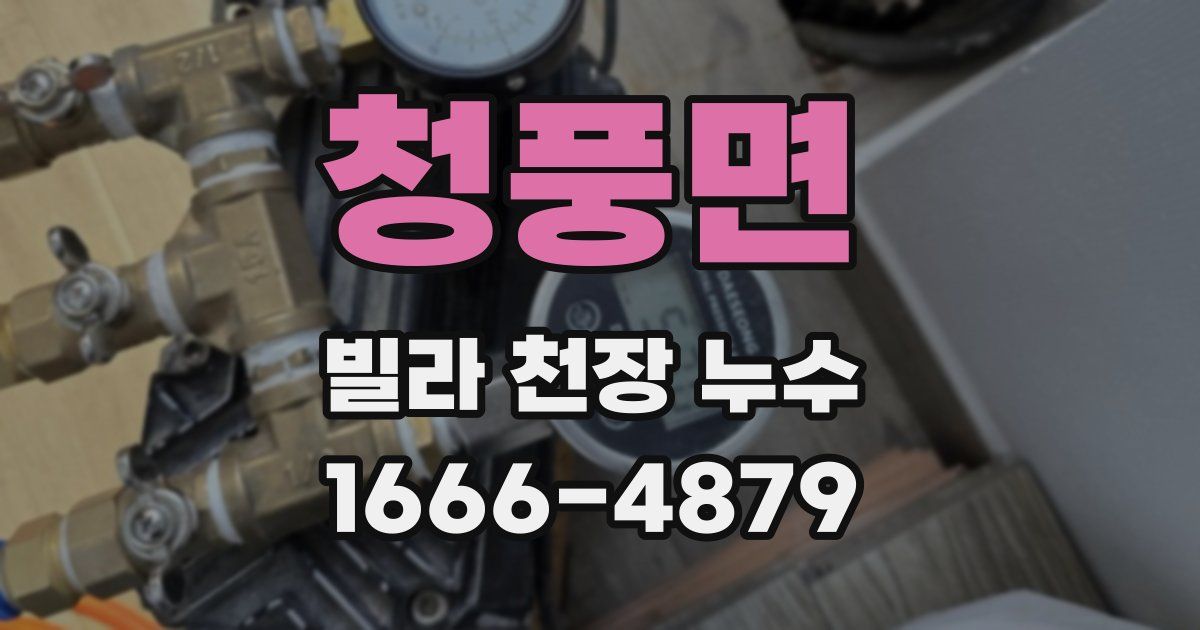 청풍면 빌라 천장 누수