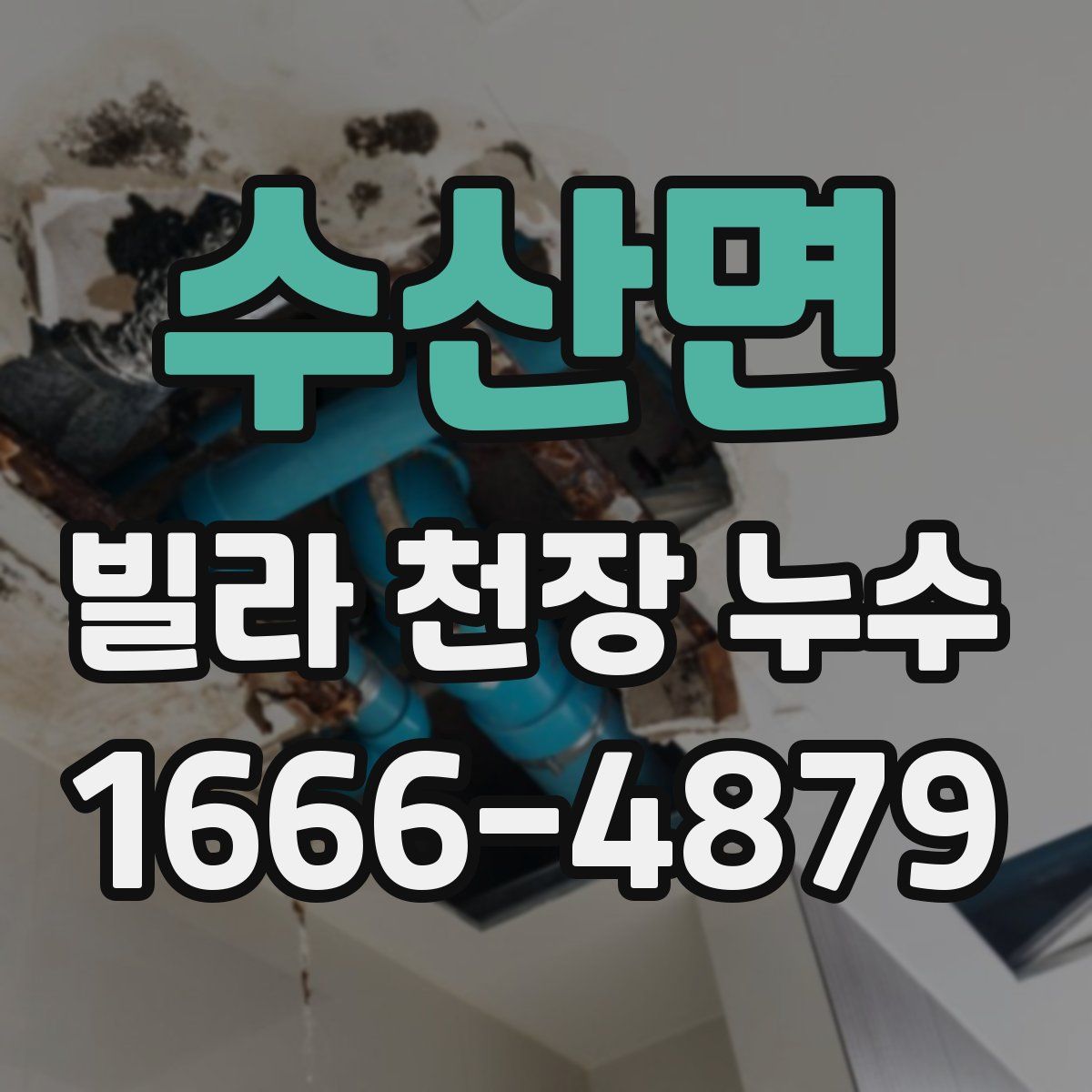 수산면 빌라 천장 누수
