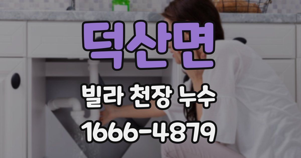 덕산면 빌라 천장 누수