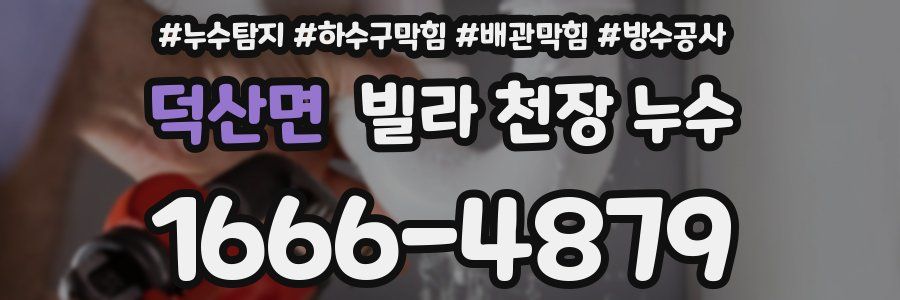 덕산면 빌라 천장 누수