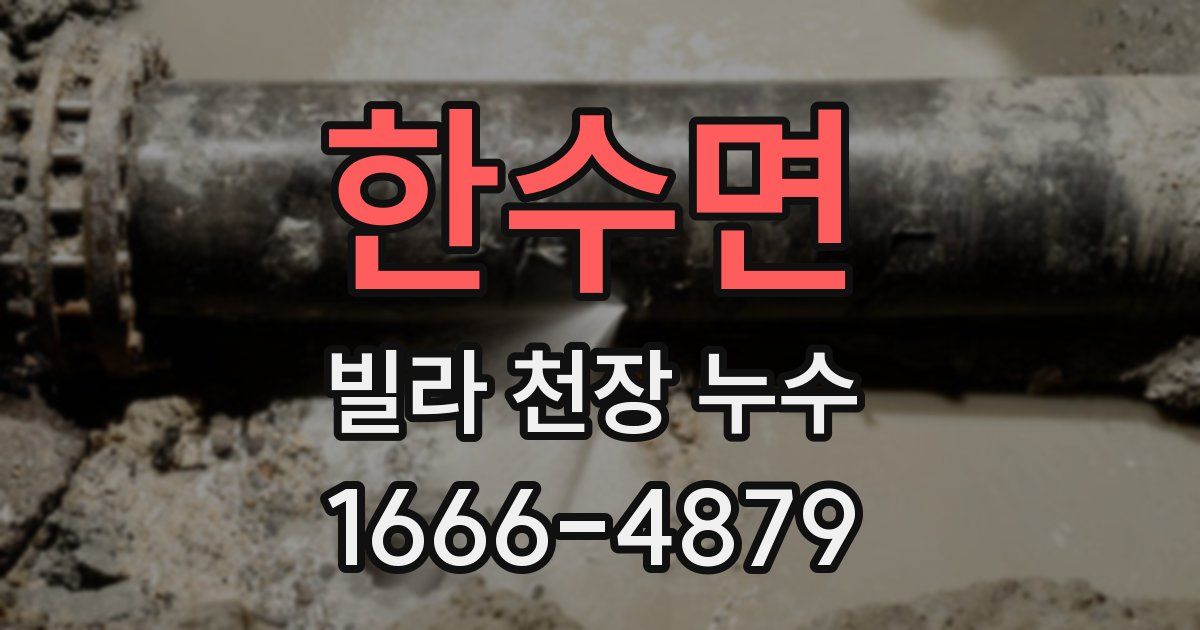 한수면 빌라 천장 누수