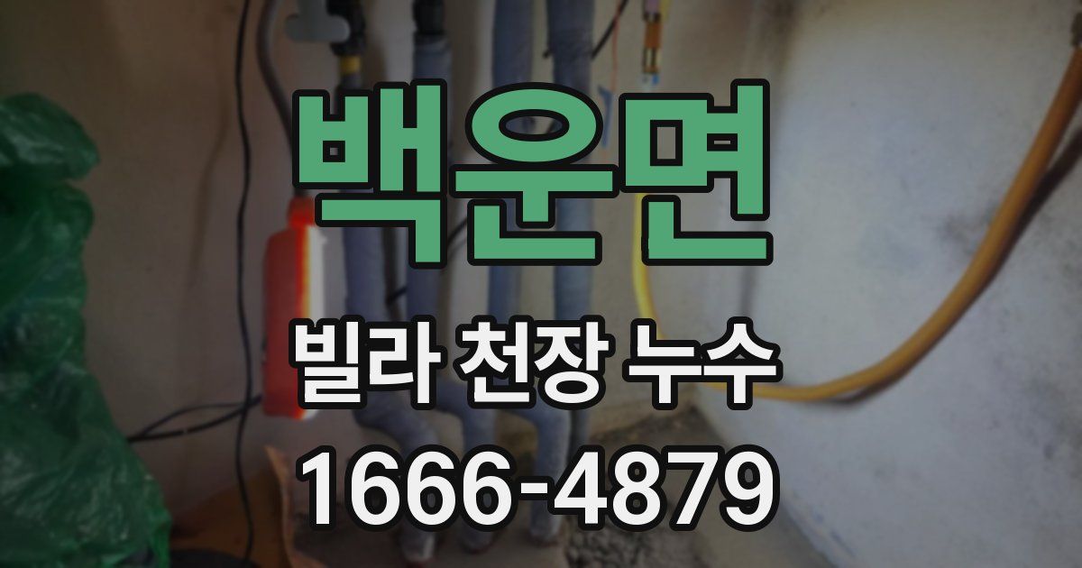 백운면 빌라 천장 누수